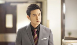 陆毅演的电视剧,情感纠葛与命运抉择